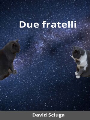 cover image of Due fratelli